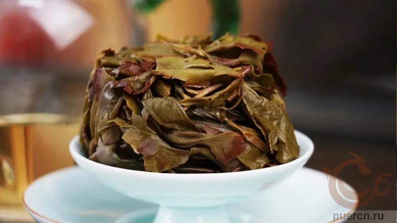 Чайное дно - нежный и молодой чайный лист Чайное дно - нежный и молодой чайный лист