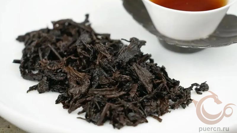 Чайное дно - нежный и молодой чайный лист Чайное дно - нежный и молодой чайный лист