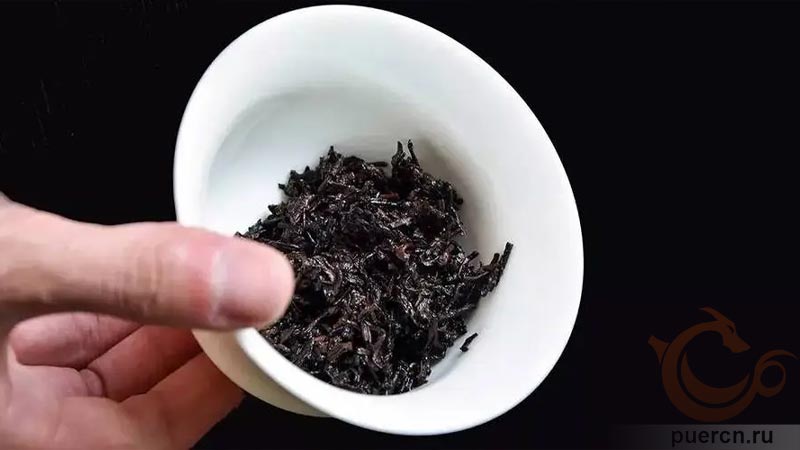 Чайное дно - нежный и молодой чайный лист Чайное дно - нежный и молодой чайный лист