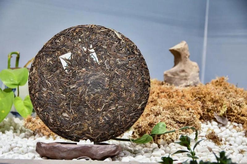 Бацзяотин И У Чжэн Шань Цзао Чунь Цяо Му, шэн пуэр, 500 гр, 2022 г. Бацзяотин И У Чжэн Шань Цзао Чунь Цяо Му, шэн пуэр, 500 гр, 2022 г.