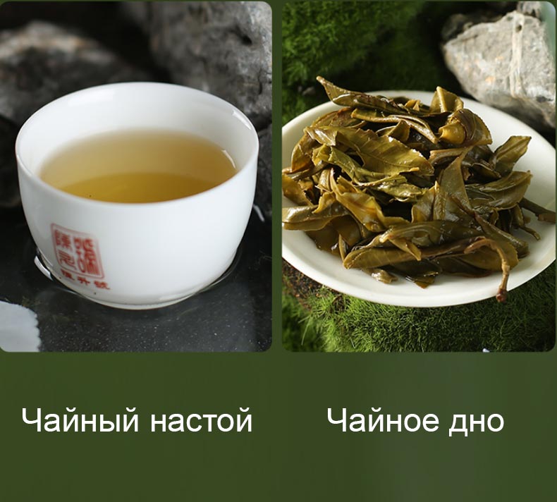 Чэньшэн Хао Сяо Чунь, шэн пуэр, чайный настой, чайное дно Чэньшэн Хао Сяо Чунь, шэн пуэр, чайный настой, чайное дно